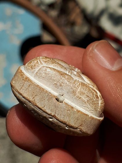 พระปิดตา หลังยันต์นะ No. 45 หลวงปู่โต๊ะ อินทสุวัณโณ วัดถ้ำสิงโตทอง อ.จอมบึง จ.ราชบุรี ปี 25xx เนื้อผง พระหนา มีน้ำหนัก อย่างสวย สมบูรณ์ เก่า รูปที่ 5