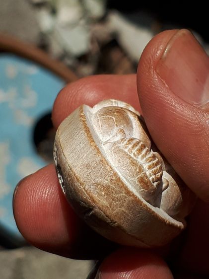 พระปิดตา หลังยันต์นะ No. 45 หลวงปู่โต๊ะ อินทสุวัณโณ วัดถ้ำสิงโตทอง อ.จอมบึง จ.ราชบุรี ปี 25xx เนื้อผง พระหนา มีน้ำหนัก อย่างสวย สมบูรณ์ เก่า รูปที่ 6