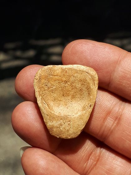 พระกรุวัดเงิน คลองเตย พิมพ์สังกัจจายน์ ไม่มีหู เนื้อผง สร้างยุครัตนโกสินทร์ตอนต้น พิมพ์คมชัด พระเนื้อจัด มีความแกร่งแน่น หนึกนุ่ม ผิวขององค์ รูปที่ 7