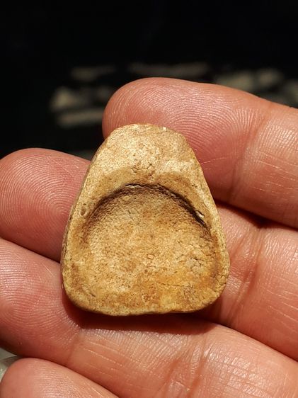 พระกรุวัดเงิน คลองเตย พิมพ์สังกัจจายน์ ไม่มีหู เนื้อผง สร้างยุครัตนโกสินทร์ตอนต้น พิมพ์คมชัด พระเนื้อจัด มีความแกร่งแน่น หนึกนุ่ม ผิวขององค์