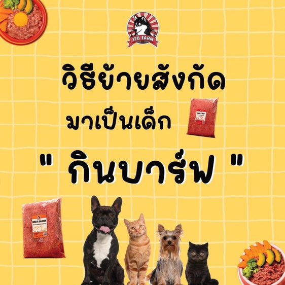 อาหารบาร์ฟสำหรับสุนัขและแมว รูปที่ 7