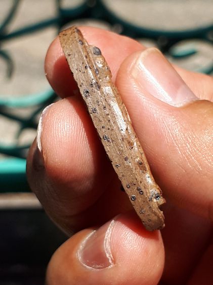 พระพุทธ 25 ศตวรรษ เนื้อดินแร่ ปี 2500 ผิวสองสี หน้าตาติดชัด พระสวยงาม คมชัด สภาพสวยเก่า เดิมๆ ไม่แข็งกระด้าง ผิวเดิมๆ เก่าตามธรรมชาติ เป็นพร รูปที่ 4