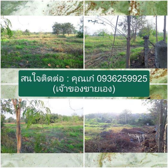 ขายที่ดินทำเลดี‼️พร้อมโฉนดครุฑแดง ต.ช่องแค อ.ตาคลี จ.นครสวรรค์ จำนวน 62 ไร่ 1 งาน (ไม่แบ่งขาย) เจ้าของขายเอง รูปที่ 4
