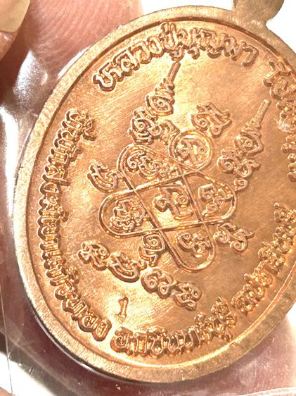 	เหรียญพระนาคปรก หลวงปู่บุญมา ที่พักสงฆ์เขาแก้วทอง จ ปราจีนบุรี รูปที่ 11