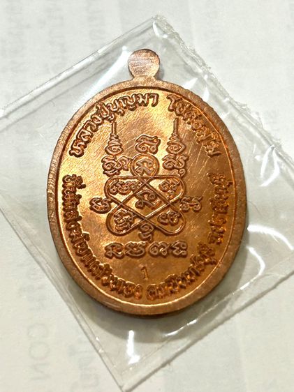 	เหรียญพระนาคปรก หลวงปู่บุญมา ที่พักสงฆ์เขาแก้วทอง จ ปราจีนบุรี รูปที่ 3