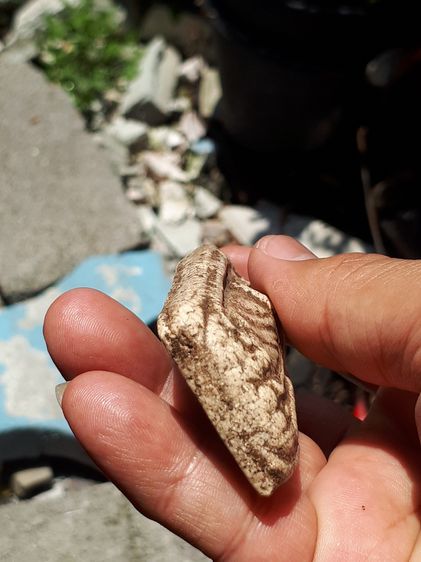 พระอุ้มบาตร กรุวัดกลางคลองข่อย ราชบุรี เนื้อผง มีมวลสาร ลงรัก พิมพ์คม สวย สมบูรณ์ ขนาดใหญ่ เก่า แท้ หายาก วัดกลางคลองข่อย ราชบุรี เป็นวัดที่ รูปที่ 5