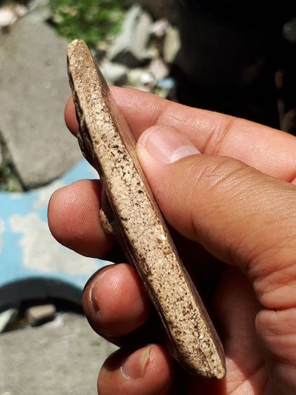 พระอุ้มบาตร กรุวัดกลางคลองข่อย ราชบุรี เนื้อผง มีมวลสาร ลงรัก พิมพ์คม สวย สมบูรณ์ ขนาดใหญ่ เก่า แท้ หายาก วัดกลางคลองข่อย ราชบุรี เป็นวัดที่ รูปที่ 3