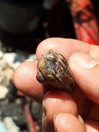 พระปิดตา 2 หน้า เนื้อผง ลงรัก ผิวแห้ง เหี่ยว แตกลาน ผิวพรรณเดิมๆ ขนาดกลาง เก่า แท้ หายาก ไม่รู้ที่  รูปที่ 9