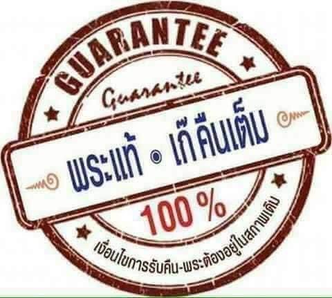 เหรียญไก่มหาเศรษฐี ร่ำรวย เงิน ทอง หลวงปู่สรวง วัดถ้ำพรหมสวัสดิ์ จ.ลพบุรี รูปที่ 10