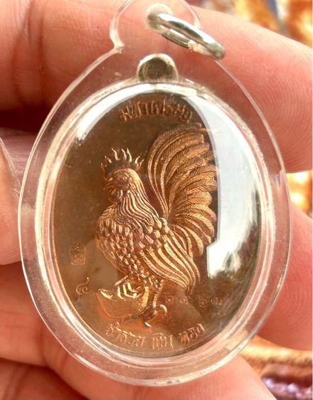 เหรียญไก่มหาเศรษฐี ร่ำรวย เงิน ทอง หลวงปู่สรวง วัดถ้ำพรหมสวัสดิ์ จ.ลพบุรี รูปที่ 6