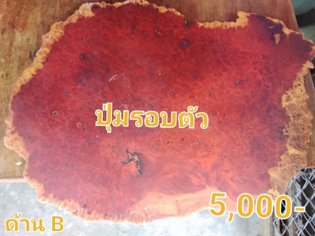 🏛.หัวบัวโบราณ รูปที่ 16