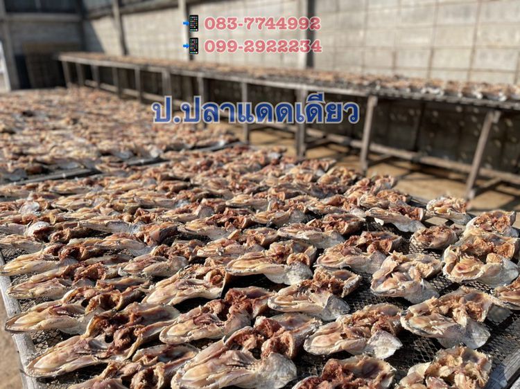 🐟 หัวปลาชะโดตากแห้ง รูปที่ 2