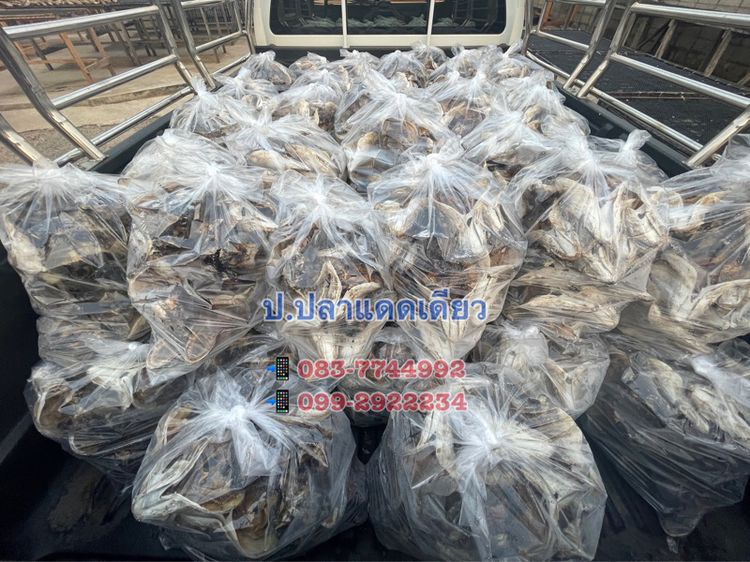 🐟 หัวปลาชะโดตากแห้ง รูปที่ 7