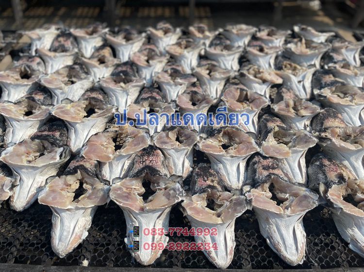 🐟 หัวปลาชะโดตากแห้ง รูปที่ 4