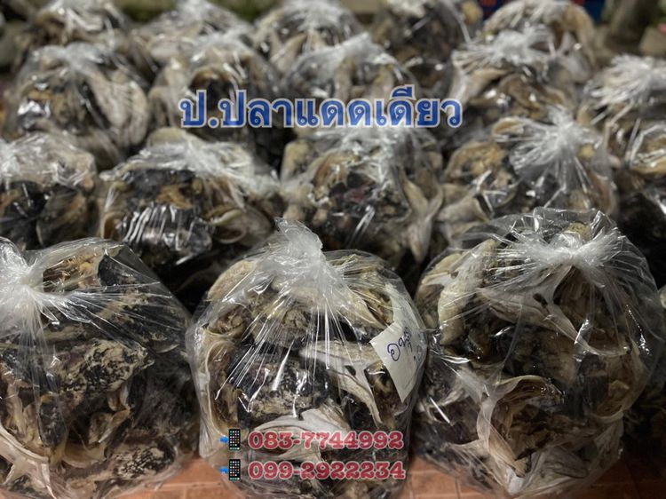 🐟 หัวปลาชะโดตากแห้ง รูปที่ 6