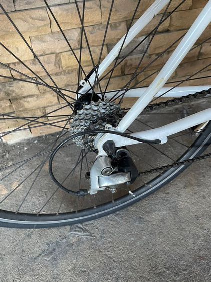 รถTOKYOBIKE รูปที่ 11