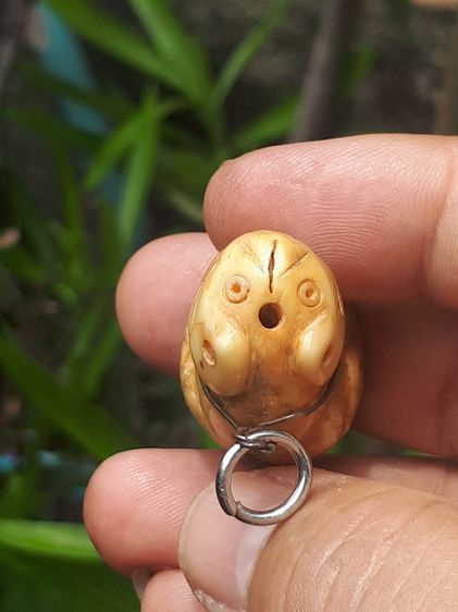 เสือ หลวงพ่อปาน วัดคลองด่าน เขี้ยวโปร่งฟ้าองค์ครู ขนาดจัมโบ้ ประมาณ 2 นิ้ว รอยจารที่ตัวและใต้ฐาน เสือของหลวงพ่อปานมีอายุการสร้างนานกว่า 100 รูปที่ 7