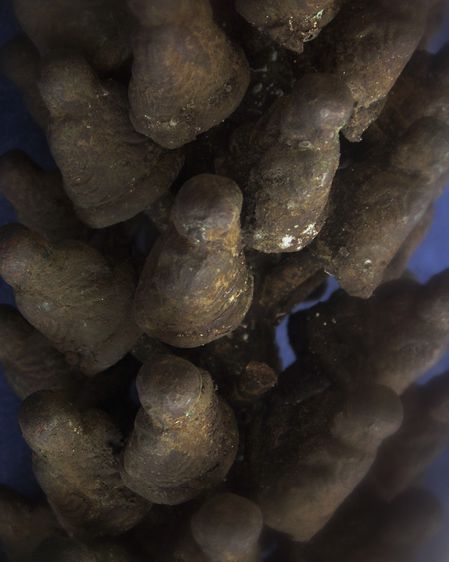 ล้างผิว เหรียญหล่อจอบใหญ่ หลวงพ่อเงิน รุ่นปืนแตก วัดคงคาราม (บางคลานใต้) ตัดจากช่อกรรมการพระแท้ๆเอามาจากวัด รูปที่ 26