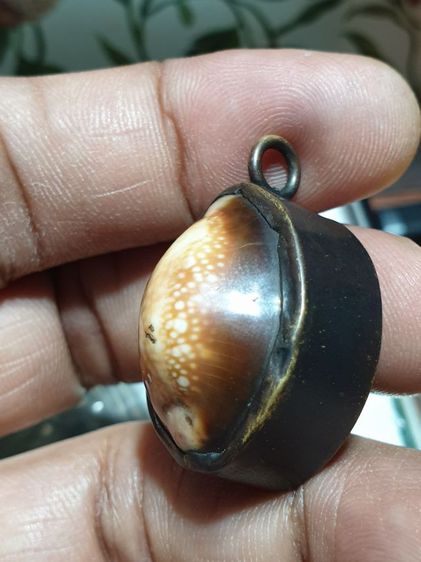 เบี้ยแก้หุ้มทองเหลืองเก่า มีรอยจารมือเก่า เบี้ยเก่าจนแตกลายงา  รูปที่ 7