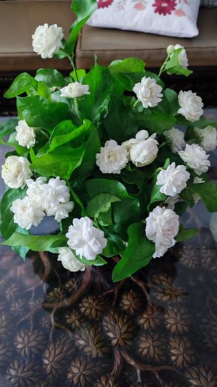 รับทำบัญชีและตรวจสอบบัญชี รูปที่ 18