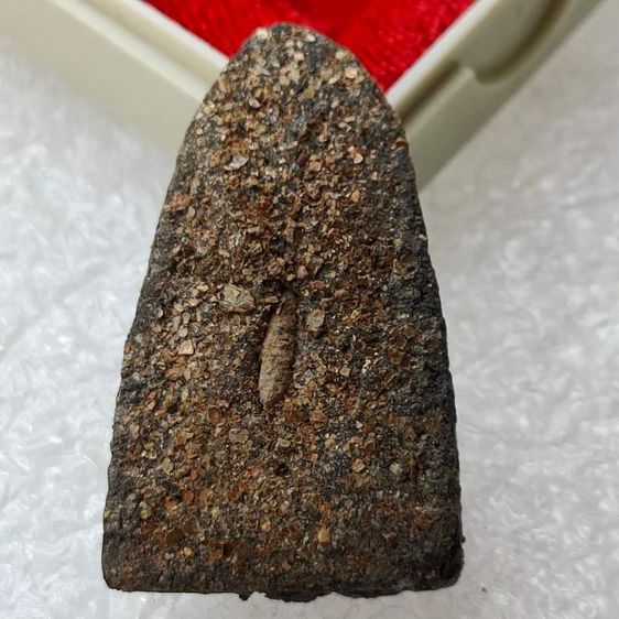 หลวงพ่อทวด เนื้อว่าน พิมพ์ใหญ่  หลังฝังข้าวสารหิน รุ่นปาฏิหาริย์ลายเซ็น  รูปที่ 2