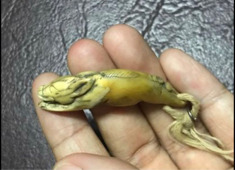 พญาหมูป่าเก่า แกะจากเขี้ยว รูปที่ 3