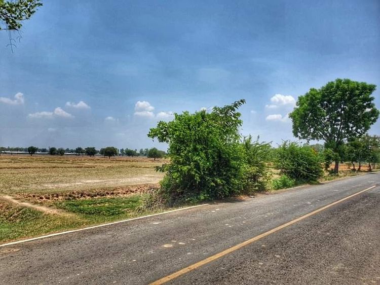 ขายที่ดิน 12 ไร่ นางรอง บุรีรัมย์ รูปที่ 4