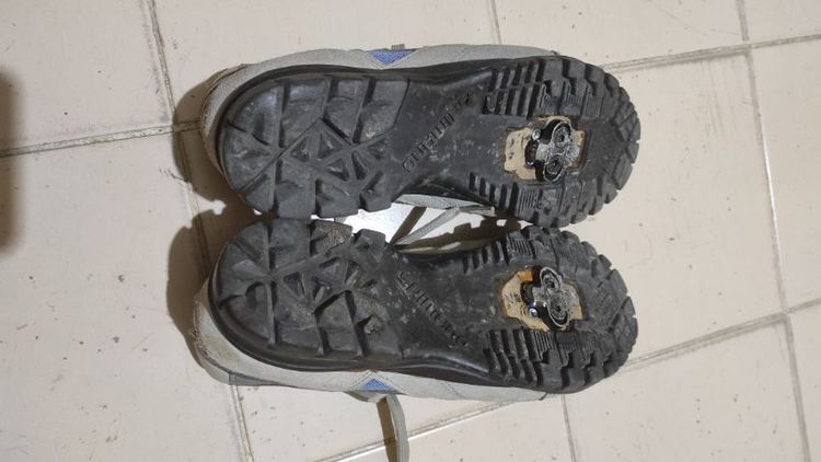รองเท้าเสือภูเขา รูปที่ 3