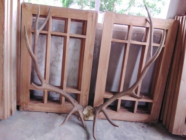 🏛🏛🏛.เอลก์ USA.ให้ติดต่อไลน์kaideeจะบล็อค. รูปที่ 7