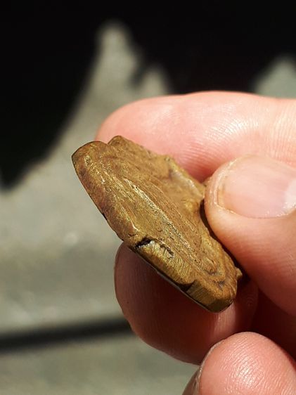 เหรียญหล่อโบราณ พระพุทธ หลังเรียบ หลวงพ่อศรีสวรรค์ วัดนครสวรรค์ ปี 2462 หูขวาง พิมพ์ใหญ่ ยุคต้นๆ เนื้อทองผสม ผิว 2 สี ผิวออกอมเขียว มีคราบขี รูปที่ 5