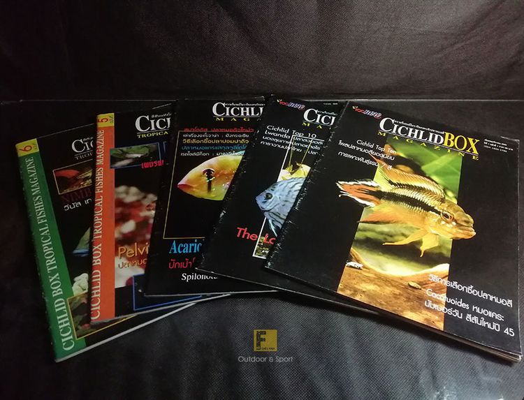 นิตยสาร Cichlids Box Magazine จำนวน 5 เล่ม หนังสือปลา นิตยสารปลาสวยงาม หนังสือปลาสวยงาม นิตยสารปลาหมอสี นิตยสารเก่า หนังสือเก่า นิตยสารหายาก รูปที่ 5