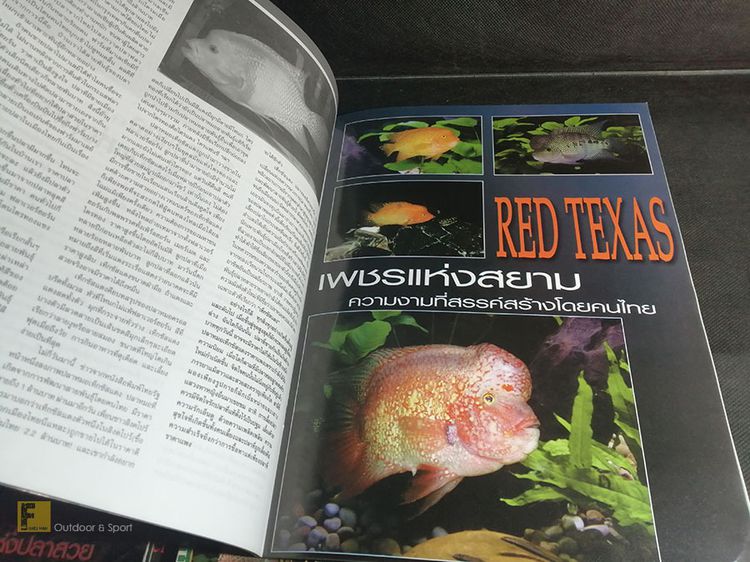 นิตยสาร Cichlids Box Magazine จำนวน 5 เล่ม หนังสือปลา นิตยสารปลาสวยงาม หนังสือปลาสวยงาม นิตยสารปลาหมอสี นิตยสารเก่า หนังสือเก่า นิตยสารหายาก รูปที่ 9