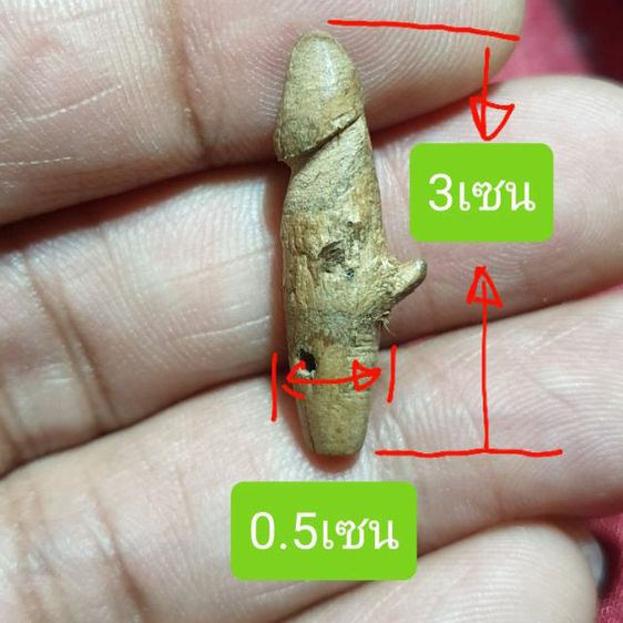 ปลัดขิกหลวงปู่เมฆวัดลำกระดาน ขนาดเล็กพกพาสะดวก รับประกันพระแท้ทันหลวงปู เนื้อเก่า ทัน ยุค เลี่ยมกันน้ำ สวยงาม อย่างดี พร้อมใช้ รูปที่ 5