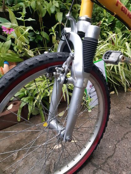 Panasonic SP. รูปที่ 8