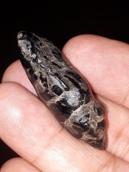 คตดักแด้ หรือ ดักแด้หิน ขนาดประมาณ 3 ซม. สีดำ เนื้อแห้ง มัน มีลายเป็นธรรมชาติ เก่ามากเป็นรูปตัวดักแด้ สภาพสวยมาก หายาก แท้รับประกัน คตดักแด้ รูปที่ 3