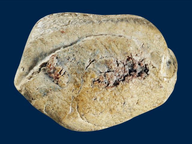 ให้เช่า พระบ้าน เนื้อสวยหายาก พระคง กรุเก่า จ.ลำพูน เนื้อสีดอกพิกุล รูปที่ 9