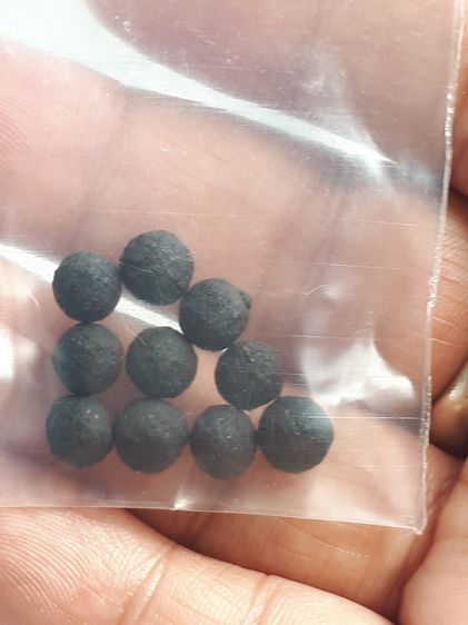 เม็ดผงยาวาสนา หรือยาจินดามณี 10 เม็ด บรรจุในขวดแก้ว ปี 2539 อาจารณ์เจือ วัดกลางบางแก้ว เป็นยาตำหรับหลวงปู่บุญ วัดกลางบางแก้ว เก่า แท้ หายาก  รูปที่ 2