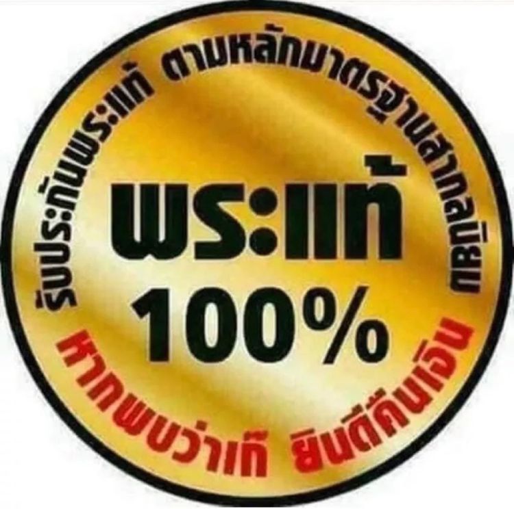เหรียญไก่ฟ้าคู่บารมี ไตรมาส 54 หลวงปู่สรวง วรสุทโธ วัดถ้ำพรหมสวัสดิ์ ลพบุรี รูปที่ 13