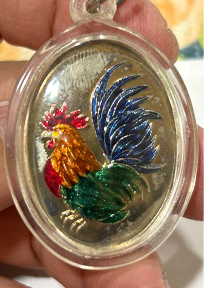 เหรียญไก่ฟ้าคู่บารมี ไตรมาส 54 หลวงปู่สรวง วรสุทโธ วัดถ้ำพรหมสวัสดิ์ ลพบุรี รูปที่ 3