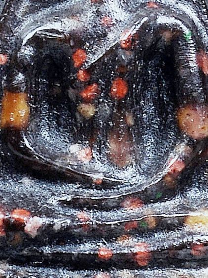 NO.1 ให้เช่า มรดกบ้าน สวยระดับติดเบอร์ พระสมเด็จจิตรลดา(พระกำลังแผ่นดิน) ปี 09 รูปทรง 3 เหลี่ยมหน้าจั่ว พิมพ์ใหญ่ แก่มวลสาร หายาก รูปที่ 17