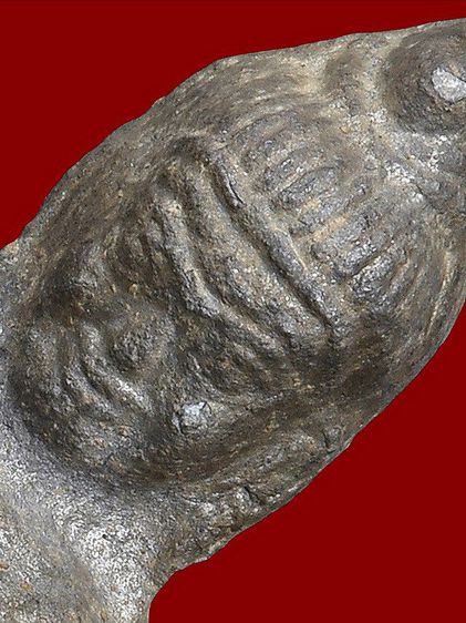 ให้เช่า พระกรุเนื้อชินเงิน พิมพ์ใหญ่ พระร่วงหูยาน กรุวัดพระศรีรัตนมหาธาตุ จ.ลพบุรี หลังลายผ้า รูปที่ 14