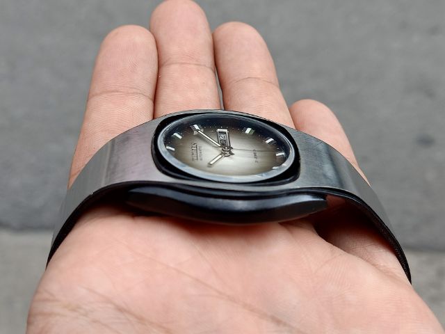 Citizen Vintage สิงห์ทะเลทราย รูปที่ 2
