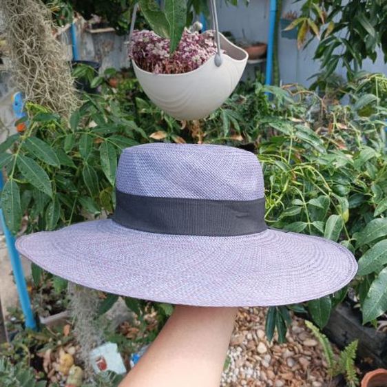 หมวกปีกกว้าง panama hat รูปที่ 3
