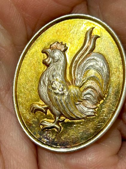 	 เหรียญไก่ รุ่นแรก หลวงปู่สรวง วัดถ้ำพรหมสวัสดิ์ จ.ลพบุรี รูปที่ 4