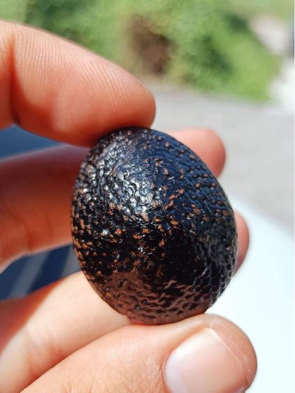 เบี้ยแก้หลวงปู่เจือยุคต้น รูปที่ 5