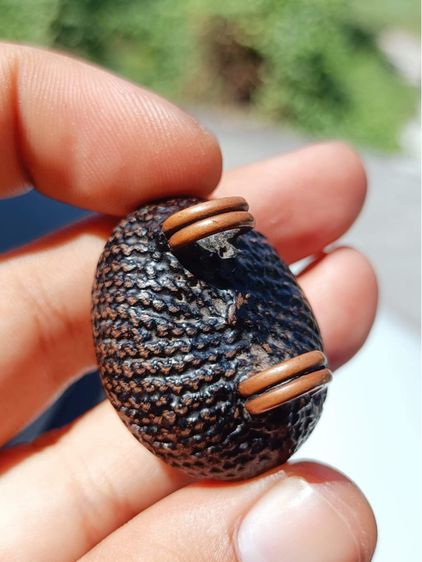 เบี้ยแก้หลวงปู่เจือยุคต้น รูปที่ 7