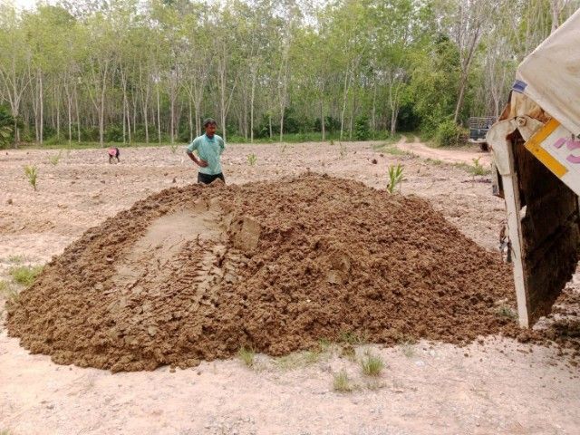 ขี้ไก่ภาคใต้ 3000 บาท ไม่รวมส่ง ขี้ไก่ไข่สด ขี้ไก่ล้วน ออกใหม่ทุกวัน ไม่มีแมงหรือมอด ไม่มีโซดาไฟ ขี้ไก่หนัก 10 ตัน เทียบได้ 250 กระสอบ รูปที่ 4
