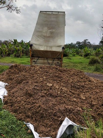 ขี้ไก่ภาคใต้ 3000 บาท ไม่รวมส่ง ขี้ไก่ไข่สด ขี้ไก่ล้วน ออกใหม่ทุกวัน ไม่มีแมงหรือมอด ไม่มีโซดาไฟ ขี้ไก่หนัก 10 ตัน เทียบได้ 250 กระสอบ รูปที่ 8
