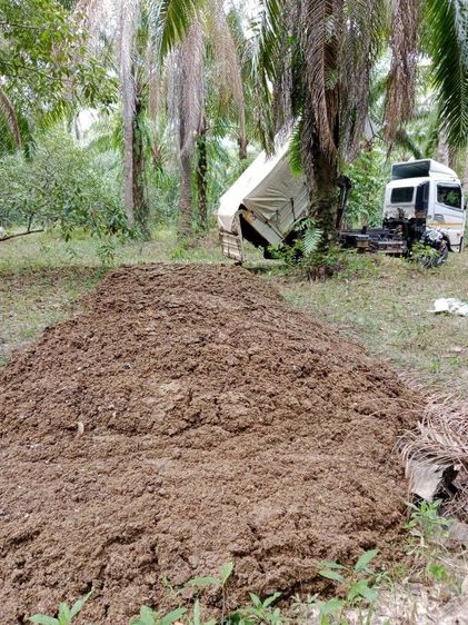 ขี้ไก่ภาคใต้ 3000 บาท ไม่รวมส่ง ขี้ไก่ไข่สด ขี้ไก่ล้วน ออกใหม่ทุกวัน ไม่มีแมงหรือมอด ไม่มีโซดาไฟ ขี้ไก่หนัก 10 ตัน เทียบได้ 250 กระสอบ รูปที่ 2