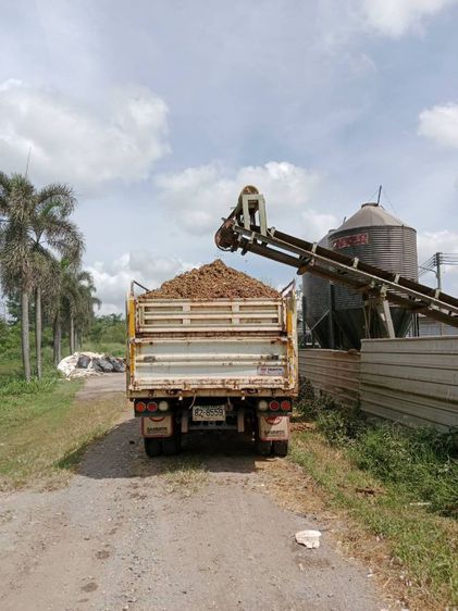 ขี้ไก่ภาคใต้ 3000 บาท ไม่รวมส่ง ขี้ไก่ไข่สด ขี้ไก่ล้วน ออกใหม่ทุกวัน ไม่มีแมงหรือมอด ไม่มีโซดาไฟ ขี้ไก่หนัก 10 ตัน เทียบได้ 250 กระสอบ รูปที่ 14